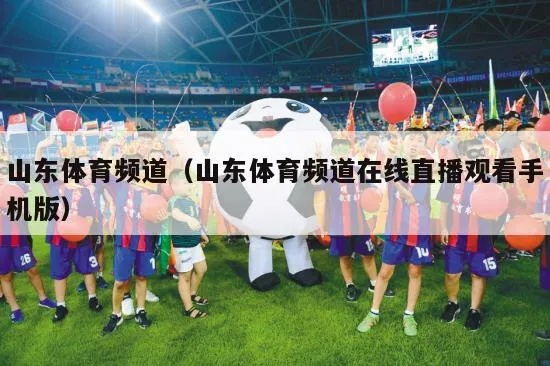 直播浪潮下的山东体育,从赛场到屏幕的激情传递直播山东体育直播
